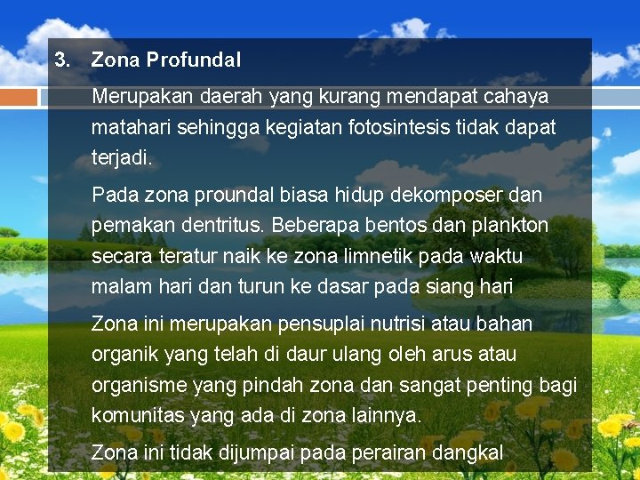 3. Zona Profundal Merupakan daerah yang kurang mendapat cahaya matahari sehingga kegiatan fotosintesis tidak