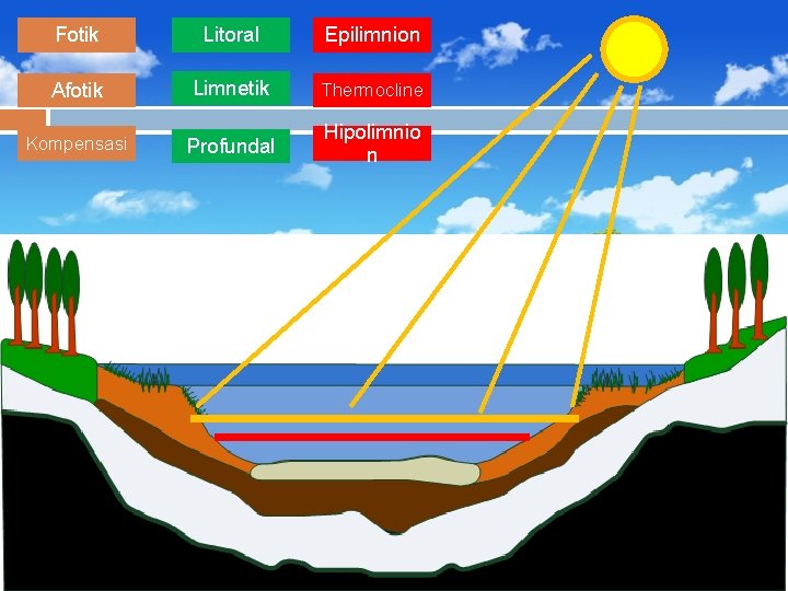 Fotik Litoral Epilimnion Afotik Limnetik Thermocline Kompensasi Profundal Hipolimnio n 