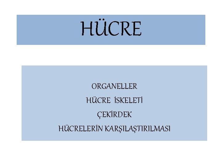 HÜCRE ORGANELLER HÜCRE İSKELETİ ÇEKİRDEK HÜCRELERİN KARŞILAŞTIRILMASI 