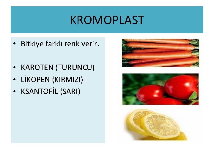 KROMOPLAST • Bitkiye farklı renk verir. • KAROTEN (TURUNCU) • LİKOPEN (KIRMIZI) • KSANTOFİL