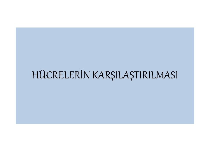 HÜCRELERİN KARŞILAŞTIRILMASI 