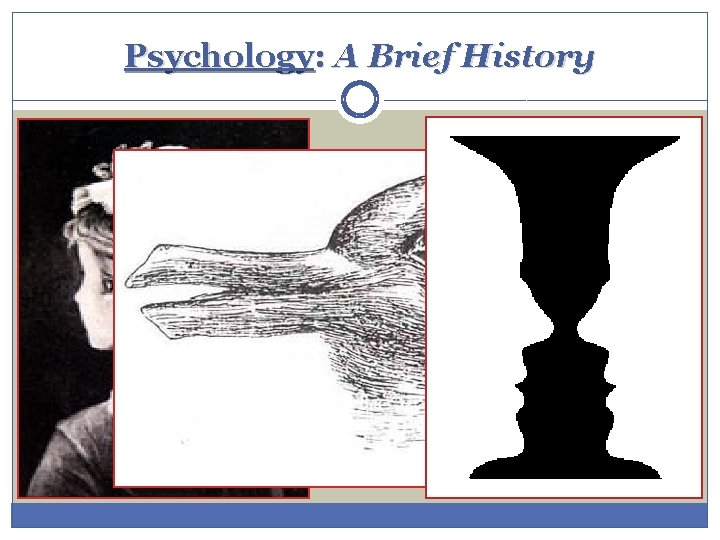 Psychology: A Brief History 