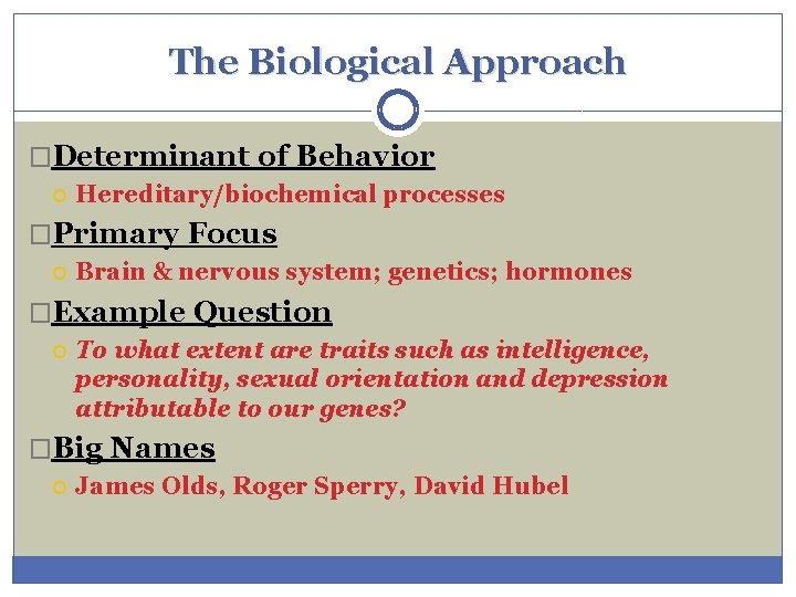 The Biological Approach �Determinant of Behavior Hereditary/biochemical processes �Primary Focus Brain & nervous system;