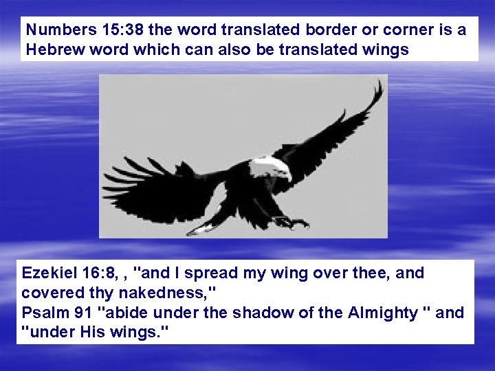 Numbers 15: 38 the word translated border or corner is a Hebrew word which