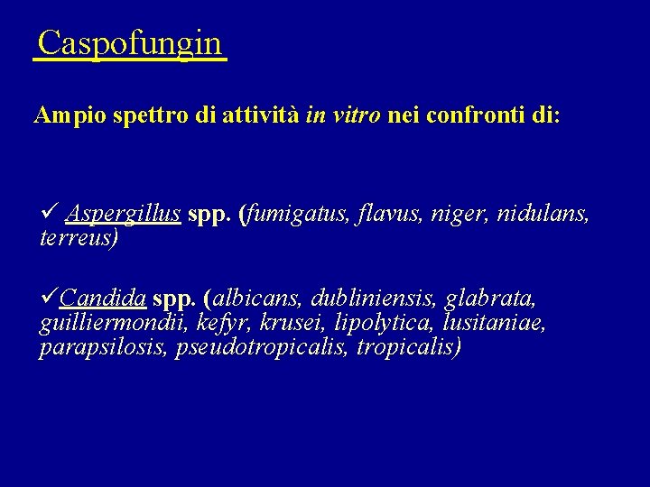 Caspofungin Ampio spettro di attività in vitro nei confronti di: ü Aspergillus spp. (fumigatus,