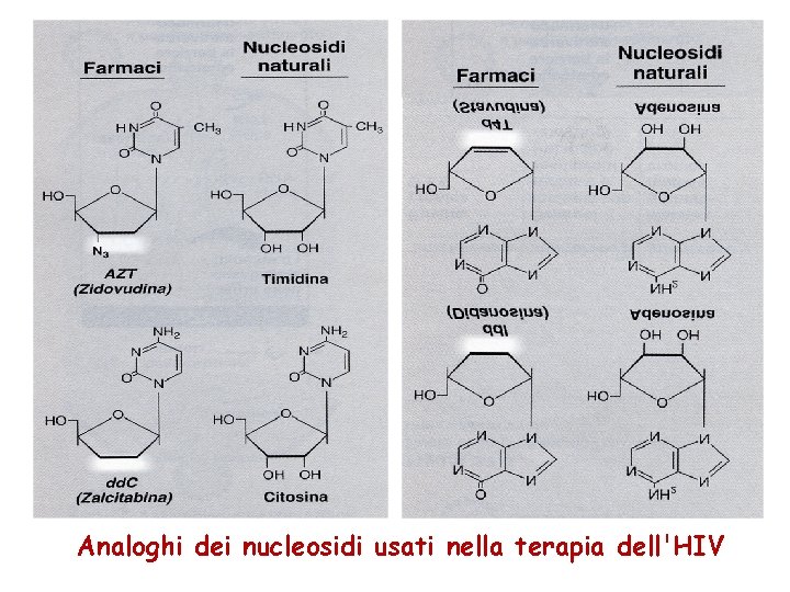 Analoghi dei nucleosidi usati nella terapia dell'HIV 