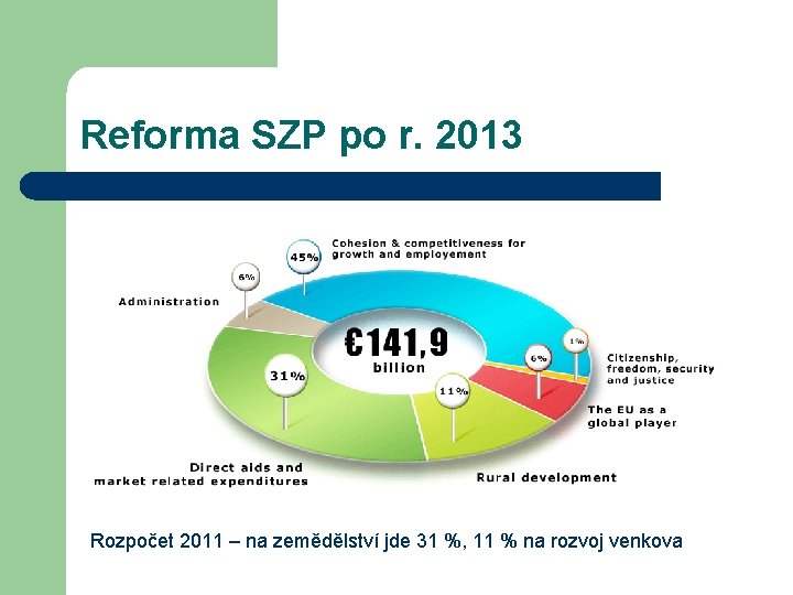 Reforma SZP po r. 2013 Rozpočet 2011 – na zemědělství jde 31 %, 11