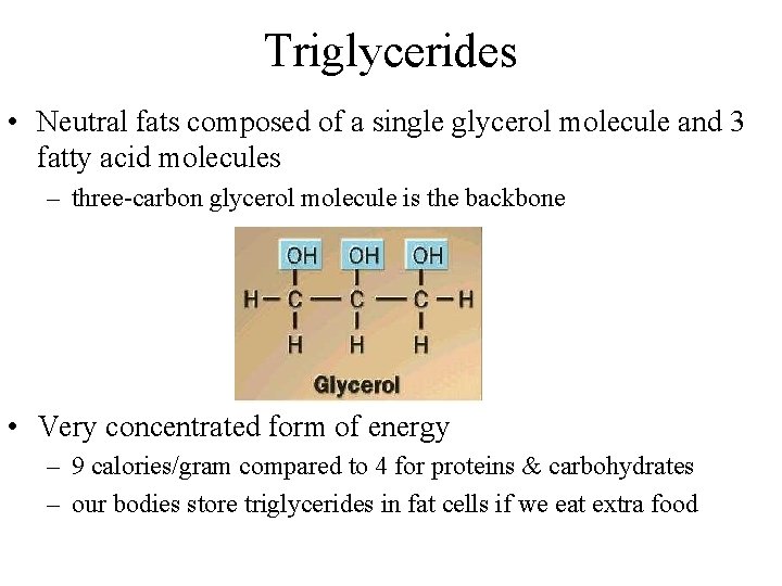 Triglycerides • Neutral fats composed of a single glycerol molecule and 3 fatty acid