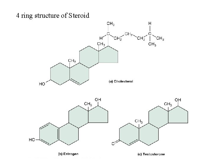 4 ring structure of Steroids(Wax) 