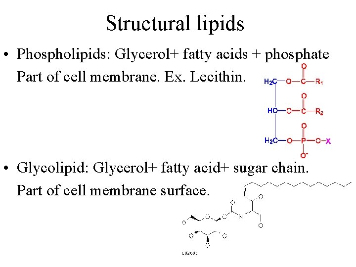 Structural lipids • Phospholipids: Glycerol+ fatty acids + phosphate Part of cell membrane. Ex.