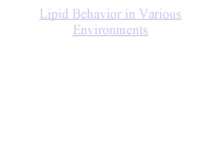 Lipid Behavior in Various Environments 