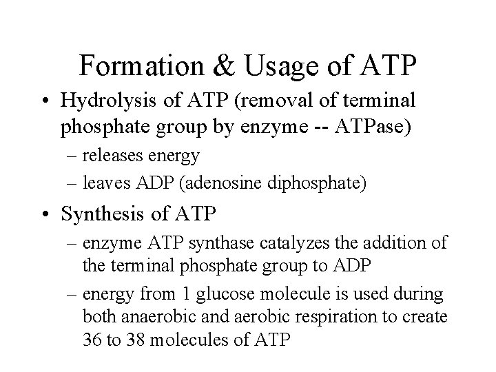 Formation & Usage of ATP • Hydrolysis of ATP (removal of terminal phosphate group