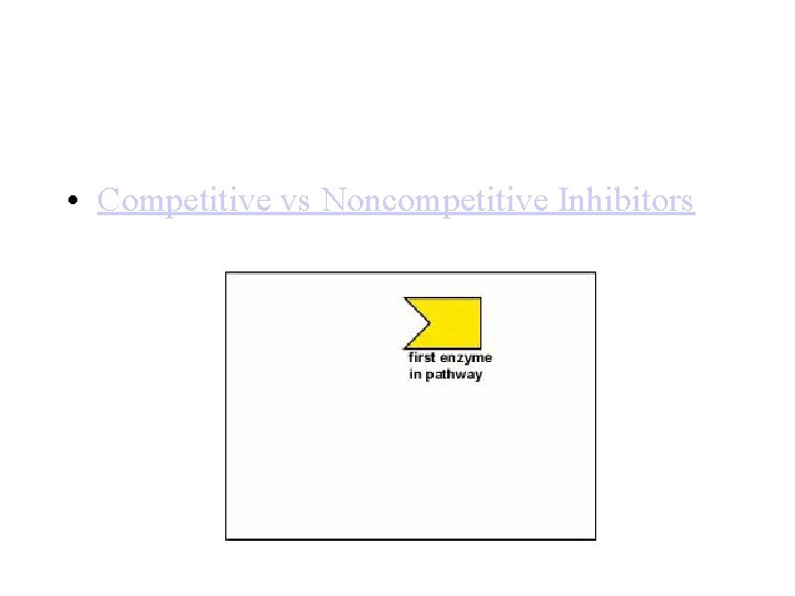  • Competitive vs Noncompetitive Inhibitors 
