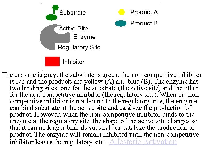 The enzyme is gray, the substrate is green, the non-competitive inhibitor is red and
