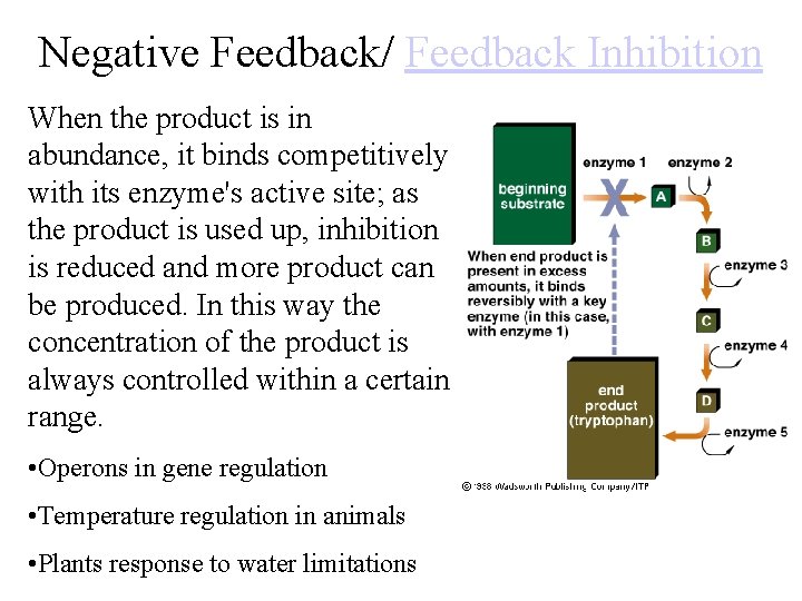Negative Feedback/ Feedback Inhibition When the product is in abundance, it binds competitively with