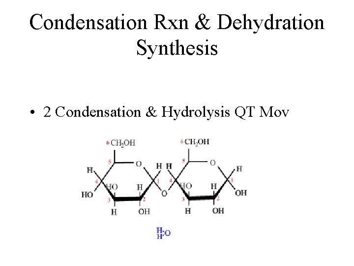 Condensation Rxn & Dehydration Synthesis • 2 Condensation & Hydrolysis QT Mov 