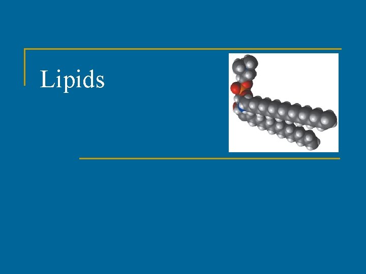 Lipids Lipids