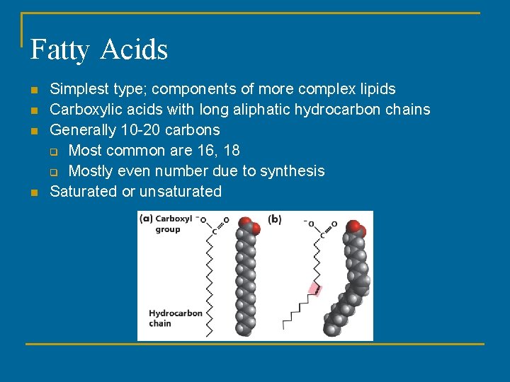 Fatty Acids n n Simplest type; components of more complex lipids Carboxylic acids with Fatty Acids n n Simplest type; components of more complex lipids Carboxylic acids with