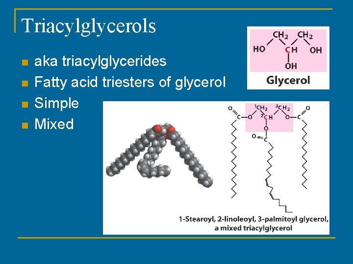 Triacylglycerols n n aka triacylglycerides Fatty acid triesters of glycerol Simple Mixed Triacylglycerols n n aka triacylglycerides Fatty acid triesters of glycerol Simple Mixed