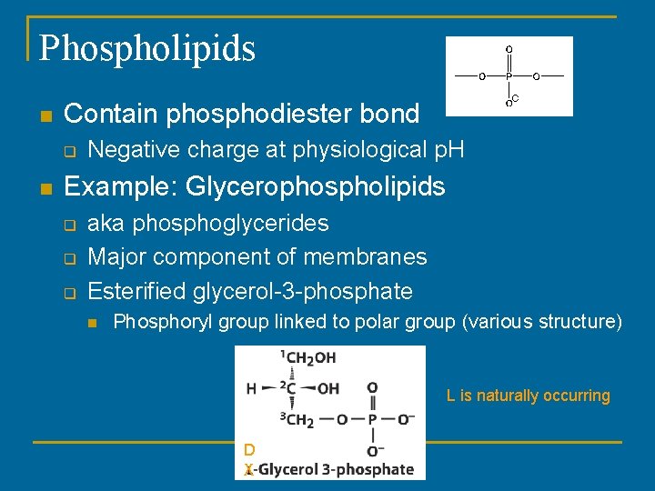 Phospholipids n Contain phosphodiester bond q n Negative charge at physiological p. H Example: Phospholipids n Contain phosphodiester bond q n Negative charge at physiological p. H Example: