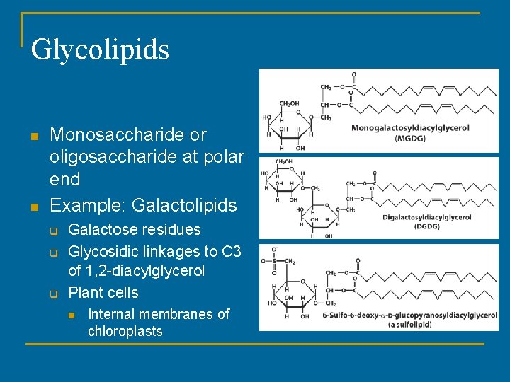 Glycolipids n n Monosaccharide or oligosaccharide at polar end Example: Galactolipids q q q Glycolipids n n Monosaccharide or oligosaccharide at polar end Example: Galactolipids q q q
