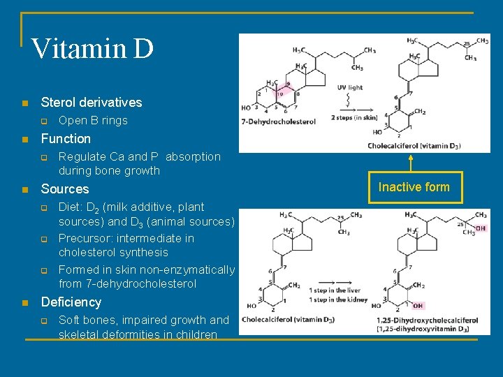 Vitamin D n Sterol derivatives q n Function q n Regulate Ca and P Vitamin D n Sterol derivatives q n Function q n Regulate Ca and P
