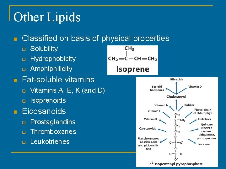 Other Lipids n Classified on basis of physical properties q q q n Fat-soluble Other Lipids n Classified on basis of physical properties q q q n Fat-soluble