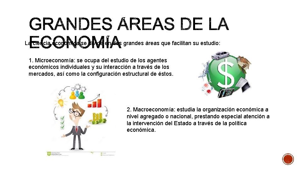 La ciencia económica se divide en dos grandes áreas que facilitan su estudio: 1.