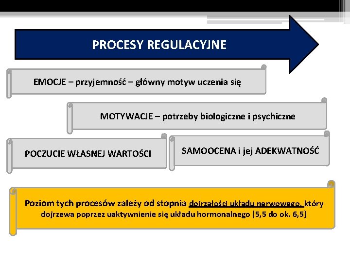 PROCESY REGULACYJNE EMOCJE – przyjemność – główny motyw uczenia się MOTYWACJE – potrzeby biologiczne