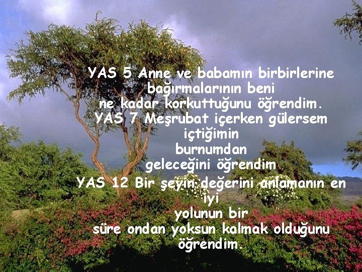 YAS 5 Anne ve babamın birbirlerine bağırmalarının beni ne kadar korkuttuğunu öğrendim. YAS 7