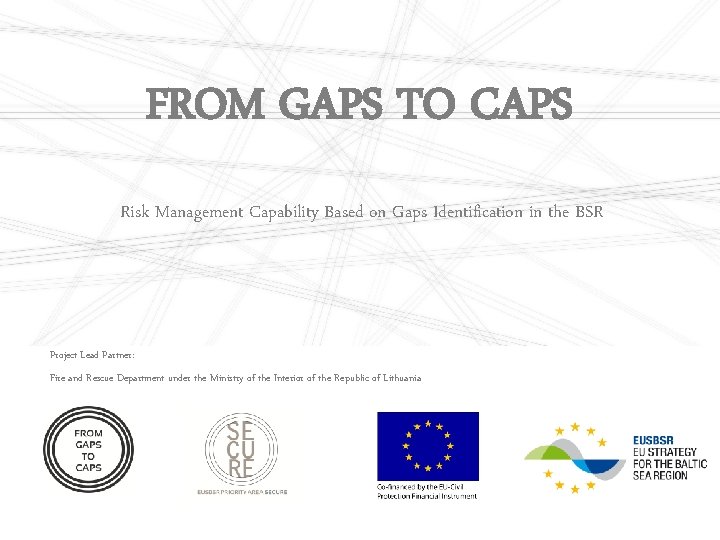 FROM GAPS TO CAPS Risk Management Capability Based on Gaps Identification in the BSR