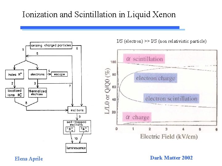 Ionization and Scintillation in Liquid Xenon I/S (electron) >> I/S (non relativistic particle) Elena