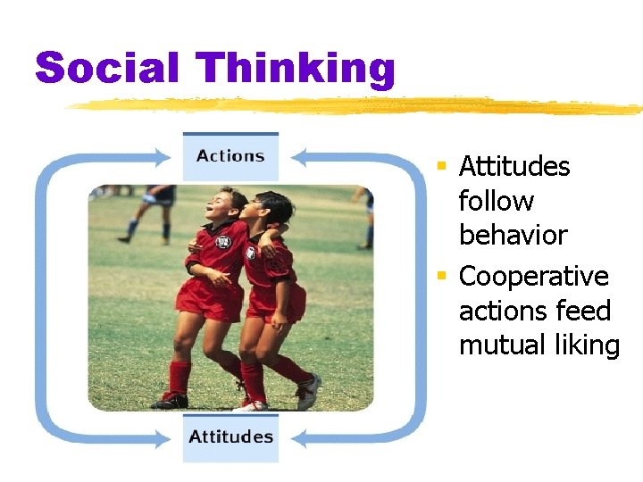 Social Thinking § Attitudes follow behavior § Cooperative actions feed mutual liking 