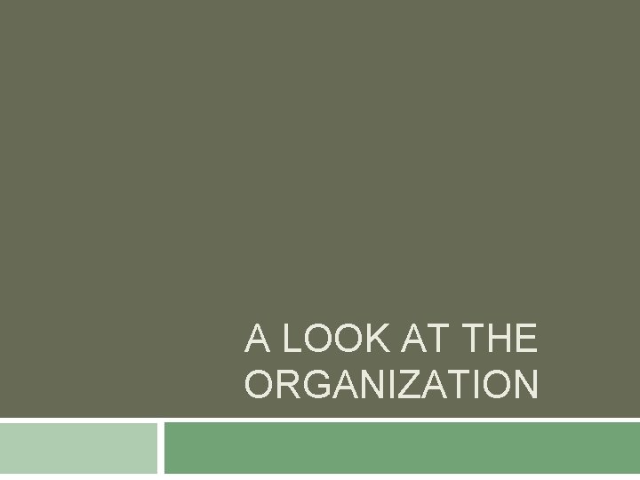 A LOOK AT THE ORGANIZATION 
