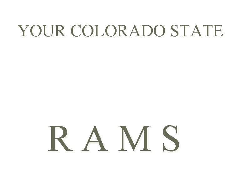 YOUR COLORADO STATE RAMS 