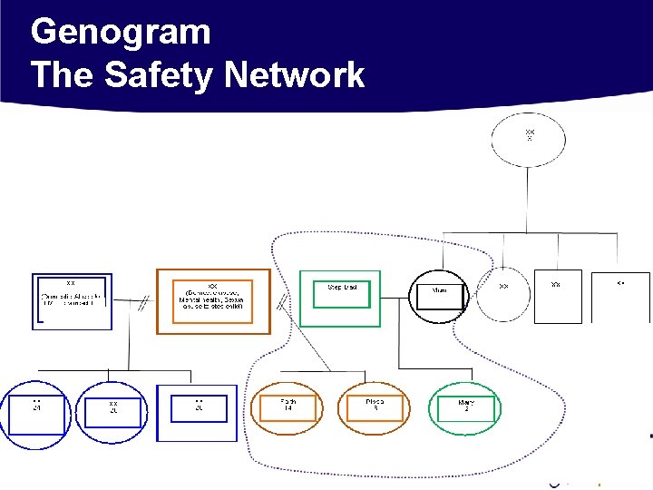 Genogram The Safety Network 