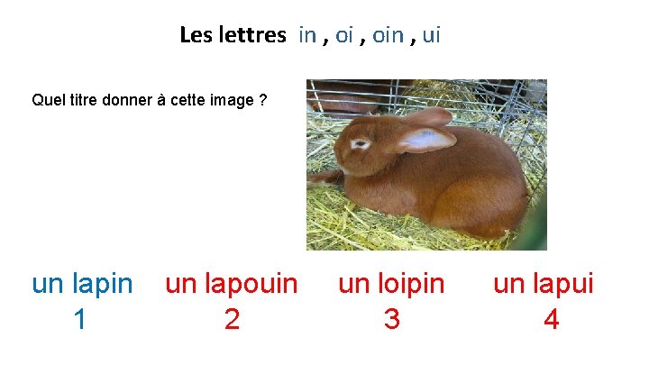 Les lettres in , oin , ui Quel titre donner à cette image ?