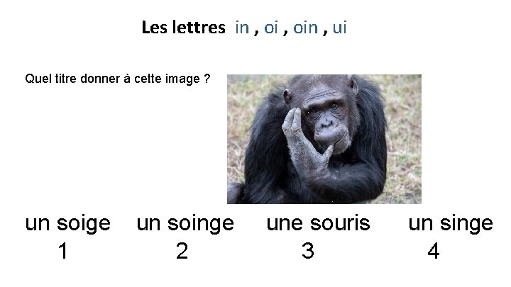 Les lettres in , oin , ui Quel titre donner à cette image ?