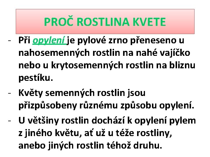 PROČ ROSTLINA KVETE - Při opylení je pylové zrno přeneseno u nahosemenných rostlin na