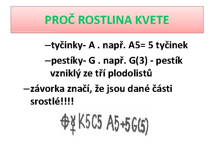 PROČ ROSTLINA KVETE –tyčinky- A. např. A 5= 5 tyčinek –pestíky- G. např. G(3)