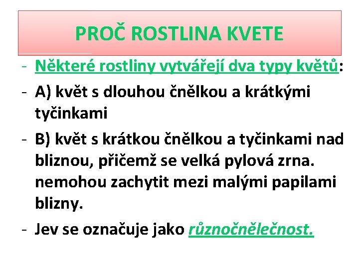 PROČ ROSTLINA KVETE - Některé rostliny vytvářejí dva typy květů: - A) květ s