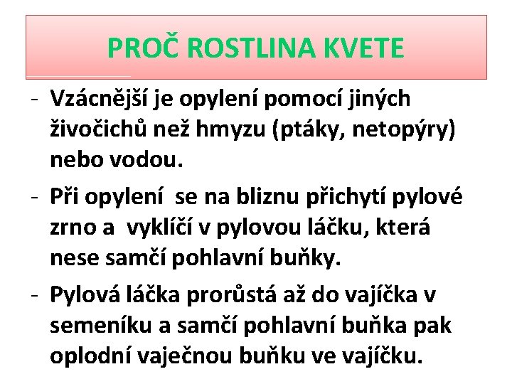 PROČ ROSTLINA KVETE - Vzácnější je opylení pomocí jiných živočichů než hmyzu (ptáky, netopýry)