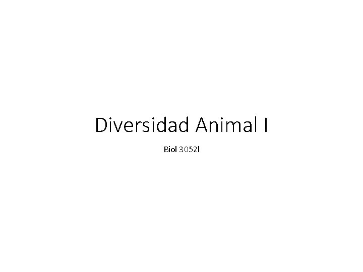 Diversidad Animal I Biol 3052 l 
