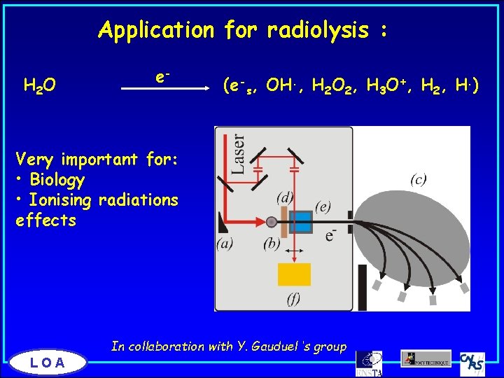 Application for radiolysis : H 2 O e- (e-s, OH. , H 2 O