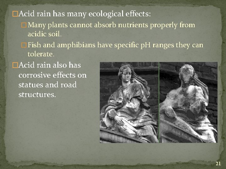 �Acid rain has many ecological effects: � Many plants cannot absorb nutrients properly from