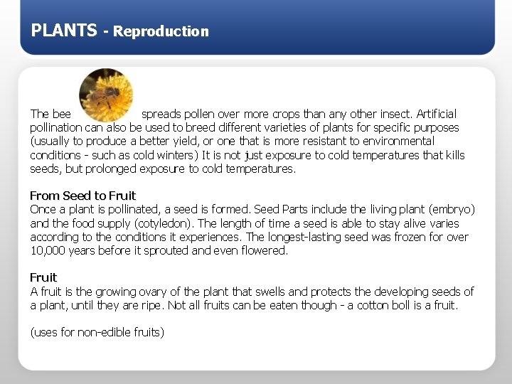 PLANTS - Reproduction The bee spreads pollen over more crops than any other insect.