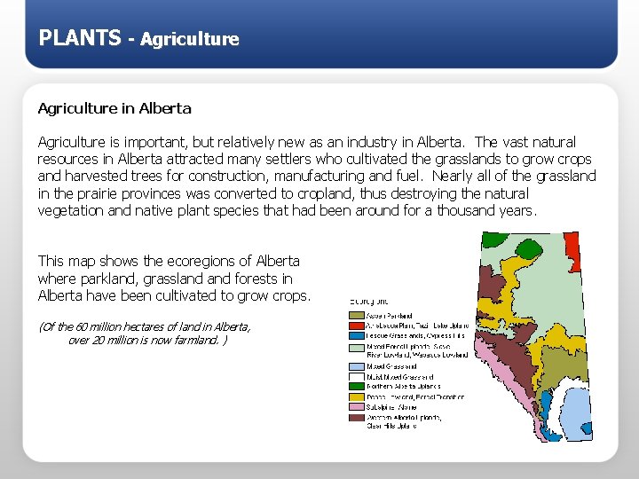 PLANTS - Agriculture in Alberta Agriculture is important, but relatively new as an industry
