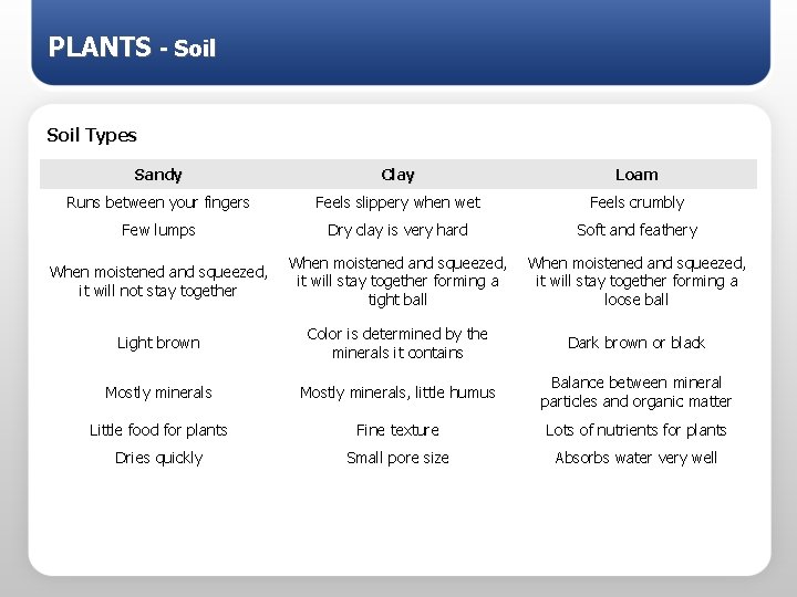 PLANTS - Soil Types Sandy Clay Loam Runs between your fingers Feels slippery when