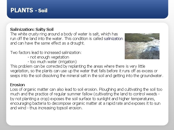 PLANTS - Soil Salinization: Salty Soil The white crusty ring around a body of