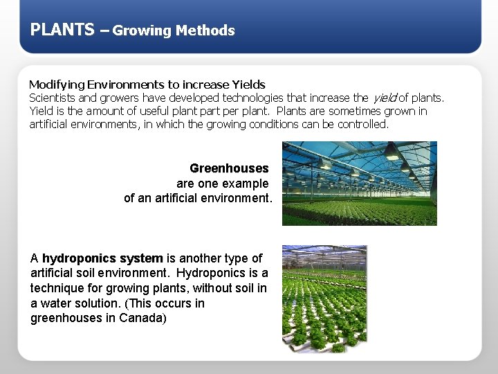 PLANTS – Growing Methods Modifying Environments to increase Yields Scientists and growers have developed